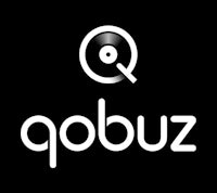 the logo for qbuzz on a black background